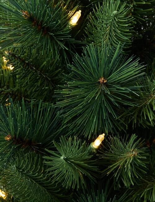 Christmas Shop Swiss Spruce Tree, 60cm/2ft product photo View 04 L