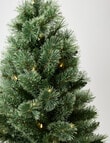 Christmas Shop Colorado Fir Tree, 90cm/3ft product photo View 03 S