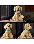 Lego Icons Golden Retriever Puppy, 11384 product photo View 04 S