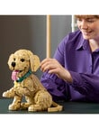 Lego Icons Golden Retriever Puppy, 11384 product photo View 06 S