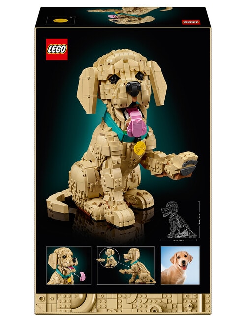Lego Icons Golden Retriever Puppy, 11384 product photo View 10 L