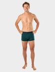 Mitch Dowd Leopard Bamboo Trunk, 2-Pack, Assorted product photo View 09 S