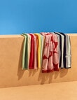 Verano Resort Carnivale Beach Towel product photo View 03 S