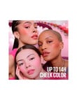 Maybelline Cloudtopia Blush product photo View 05 S