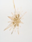Christmas Shop Embellished Ornament, Star product photo View 02 S