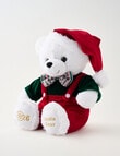 Santa Bear Santa Bear 2026 product photo View 02 S