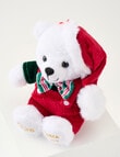 Santa Bear Santa Bear Clip 2026 product photo View 03 S