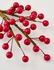 Christmas Shop Sleigh Berry Clip, Ruby product photo View 02 S