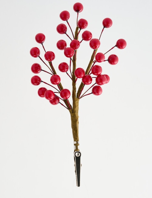 Christmas Shop Sleigh Berry Clip, Ruby product photo View 03 L