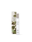 CIRCA Scent Oil, 10ml, Eucalyptus & Bergamot product photo