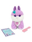 Scruff A Luvs Bunny, Assorted product photo View 07 S