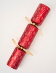 Christmas Shop Cracker, Red & Gold product photo View 05 S