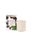 CIRCA Candle, 300g, Blackberry & Plum product photo