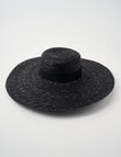 Whistle Jasmine Sun Hat, Black product photo