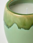 Home Fusion Alpine Sage & Patchouli Candle, 350G product photo View 04 S