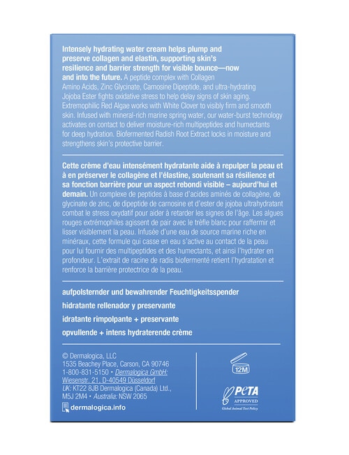 Dermalogica Pro-Collagen Banking Water Cream product photo View 12 L