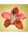 Glasshouse Fragrances Tuberose Immortelle EDP, 30ml product photo View 02 S