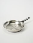 Tefal Emotion+ Induction Stainless Steel Uncoated Frypan, 28cm product photo