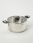Tefal Emotion+ Induction Stainless Steel Uncoated Stewpot, 24cm with Lid product photo