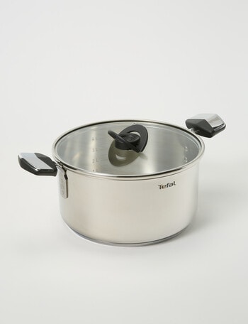 Tefal Emotion+ Induction Stainless Steel Uncoated Stewpot, 24cm with Lid product photo