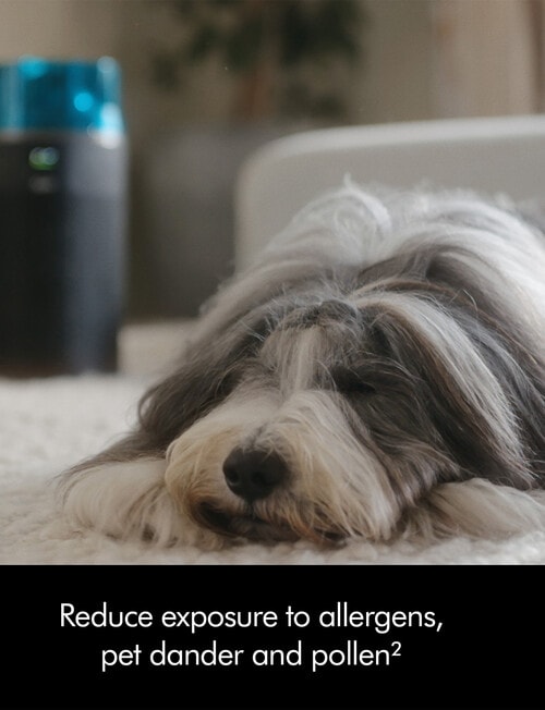 Dyson HushJet Purifier Compact, 492715-01 product photo View 12 L