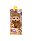 Little Live Pets My Baby Mini Monkey, Assorted product photo View 03 S