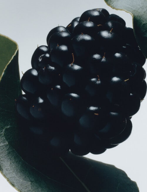 Jo Malone London Blackberry & Bay Car Diffuser, Refill product photo View 03 L