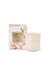 CIRCA Candle, 300g, Cherry Blossom & Green Tea product photo
