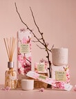 CIRCA Candle, 70g , Cherry Blossom & Green Tea product photo View 03 S