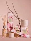 CIRCA Replacement Scent Stems, Cherry Blossom & Green Tea product photo View 03 S