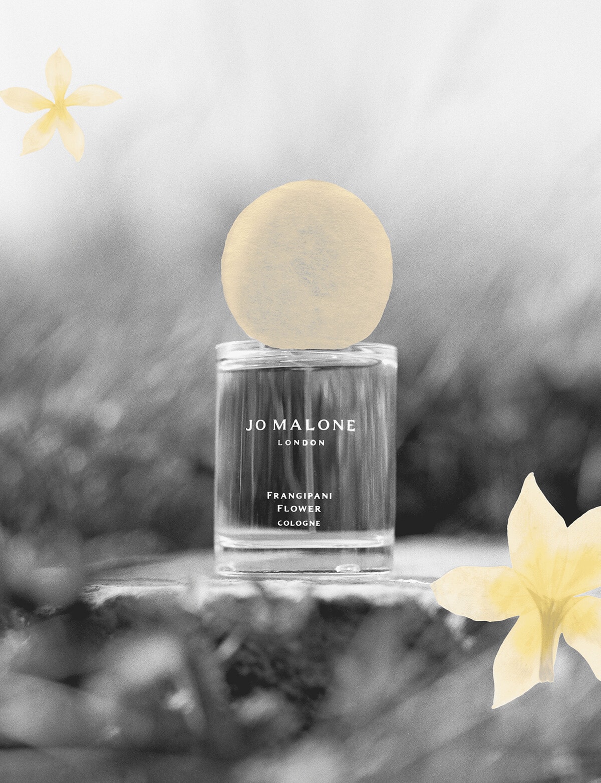 Jo Malone London Frangipani Flower Cologne, 30ml - Women's Perfumes