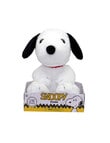 Peanuts, Assorted product photo View 02 S