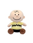 Peanuts, Assorted product photo View 03 S