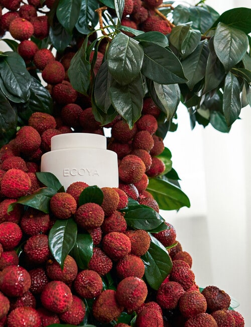 Ecoya Soy Wax Melts, Guava & Lychee Sorbet product photo View 02 L