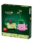 LEGO Botanicals Rocking Plants, 11506 product photo View 08 S