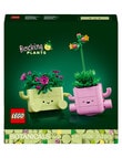 LEGO Botanicals Rocking Plants, 11506 product photo View 09 S