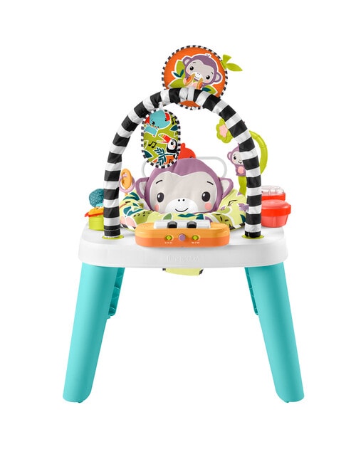 Fisher Price Purple Monkey Entertainer product photo View 02 L