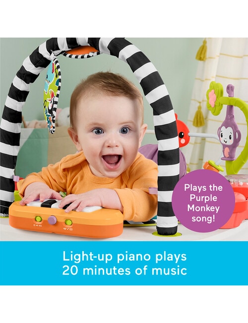 Fisher Price Purple Monkey Entertainer product photo View 06 L