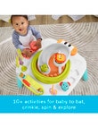 Fisher Price Purple Monkey Entertainer product photo View 07 S