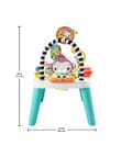 Fisher Price Purple Monkey Entertainer product photo View 08 S