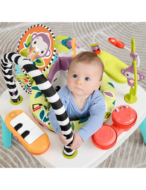 Fisher Price Purple Monkey Entertainer product photo View 10 L