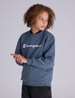 Champion Legacy Puff Short Sleeve Sweat, Steel product photo View 02 S