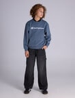 Champion Legacy Puff Short Sleeve Sweat, Steel product photo View 04 S
