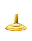 Calvin Klein Euphoria Solar Elixir Intense product photo