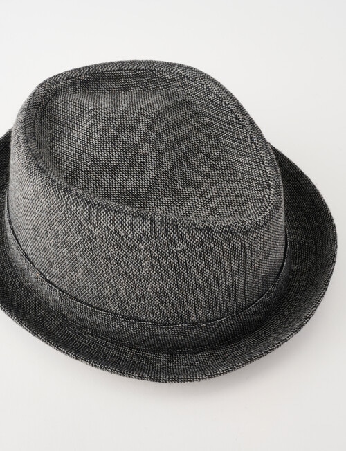 Gasoline Pork Pie Hat, Grey product photo View 03 L