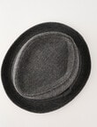 Gasoline Pork Pie Hat, Grey product photo View 04 S