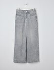 Switch Harlow Wide Leg Jean, Grey product photo