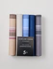 Laidlaw + Leeds 5-Pack Hankies, Blue & Beige product photo
