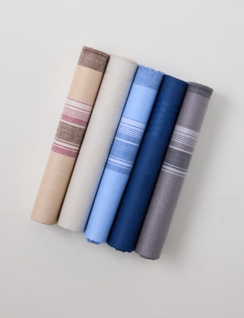 Laidlaw + Leeds 5-Pack Hankies, Blue & Beige product photo View 03 L