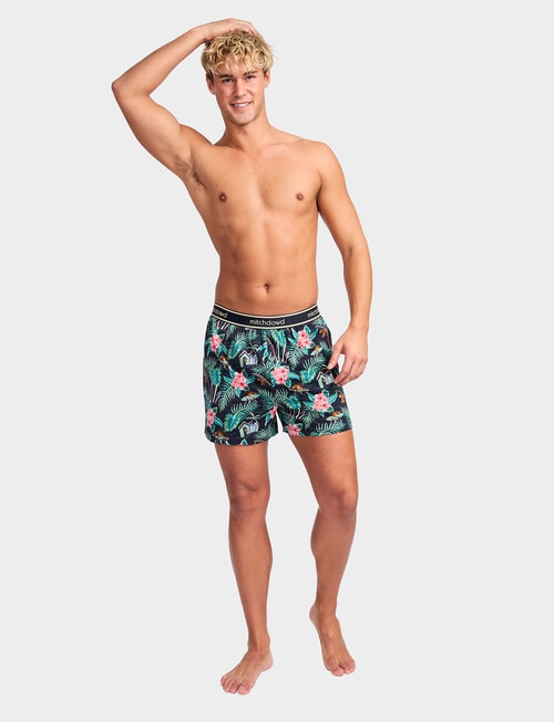 Mitch Dowd Palmy Pooches Knit Boxer, Multicolour product photo View 05 L